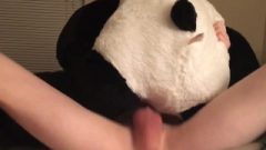 18yo Fuck’s Stuffed Panda